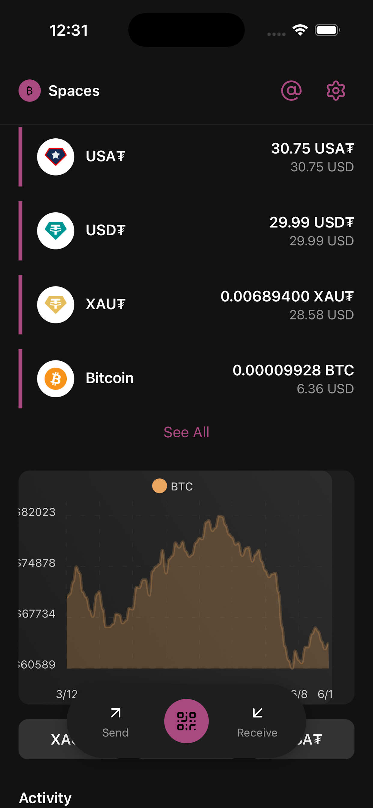 SpacesWallet wallet home screen